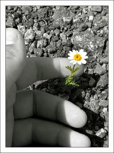 Qui chantait "Amour d'été, on le dit, ne peut pas durer..."