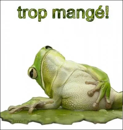 Pharmacie. Qui facilite la digestion :