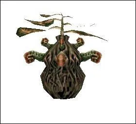 Où se trouve cette créature ?