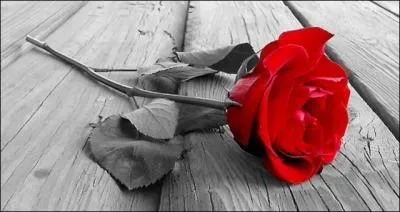 Quel est le titre de son dernier album ?