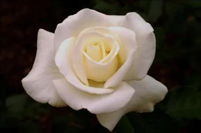 Sur son dernier disque il fait indirectement allusion à la religion (qui est la sienne) . De quelle religion s'agit-il ?