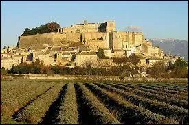 Nous partons à la découverte de Montlaur-en-Diois. Commune rhônalpine, elle se situe dans le département ...