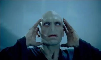 En combien de partie l'âme de Voldemort est-elle partagée au maximum dans la saga ?