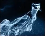 Qui a un patronus en forme de belette ?