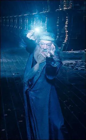 Etant plus jeune le professeur Dumbledore avait deux fonctions à Poudlard. Lesquelles ?