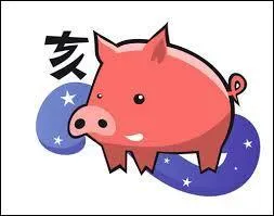 Dans quelle astrologie trouve-t-on le signe du cochon ?