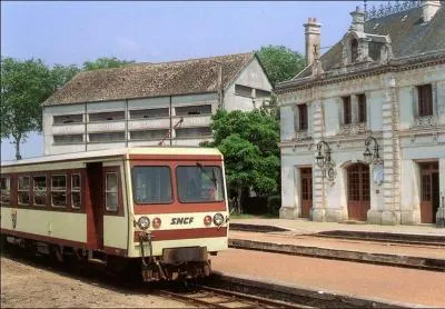 Le tournage d'une des scènes du film "Le grand Meaulnes" a eu lieu à la gare située sur le chemin de fer du Blanc-Argent. Un fromage de chèvre en forme de pyramide tronquée porte le nom de cette ville de l'Indre. C'est...