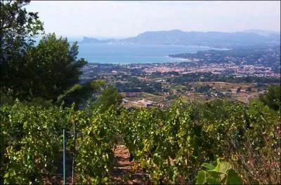 Les premiers touristes de cette station balnéaire du Var s'appelaient Pagnol, Raimu, Mistinguett, Fernandel... Quelle ville apparaît sur les grandes tables gastronomiques grâce à son célèbre vignoble ?