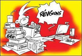 Trouvez la phrase correcte :