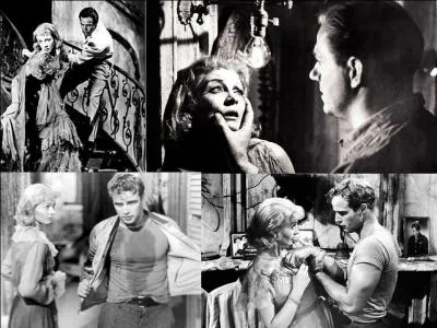 C'est un film dramatique américain de 1951, il a été réalisé par Elia Kazan.
Vivien Leigh, Marlon Brando, Kim Hunter font partie de la distribution. 
Une femme qui est restée marquée par la mort de son mari, rejoint sa sur. Les relations entre son mari et elles sont détestables. Cherchant à se marier, tout va dégénérer ! 
Quel est ce film ?