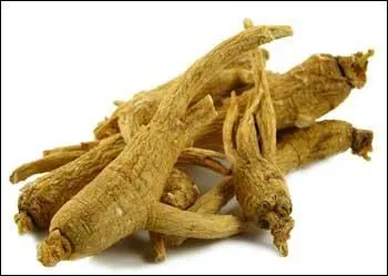 Quelle est la principale propriété pharmaceutique du ginseng ?