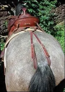 À quoi sert une croupière ?