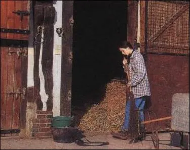 Entretien de la litière : le matin, il faut :