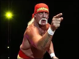 En quelle année a-t-il commencé sa carrière dans le catch ?