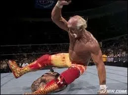 Quelle est cette prise ?