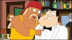 Dans quel dessin animé peut-on voir Hulk Hogan comme cela ?