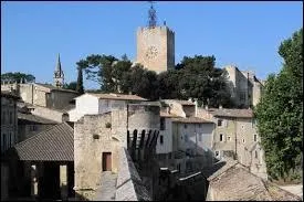 Nous partons à la découverte de Pernes-les-Fontaines. Commune pacaïenne, au Sud du Mont Ventoux, elle se situe dans le département ...