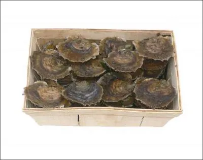 Belle et bonne huître.