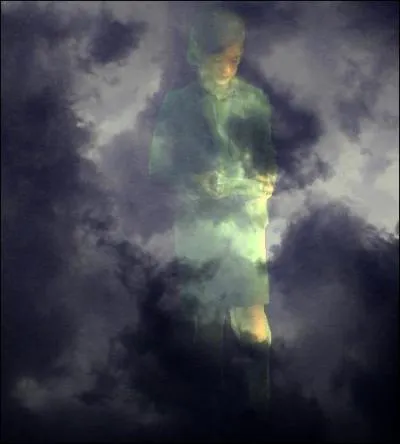 Jedusor ne souhaite recevoir de l'aide de personne ; il préfère agir seul et en secret. Cela prouve qu'il arrive à se débrouiller seul, par exemple :