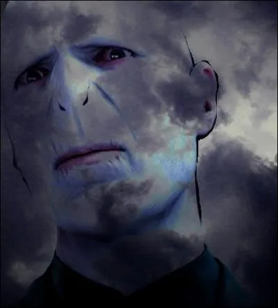 ___________________________Récapitulatif___________________________
Pourquoi Voldemort est-il devenu LE méchant ultime du monde magique ?
A. Ses origines...