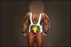 Comment s'appelle ce catcheur ?