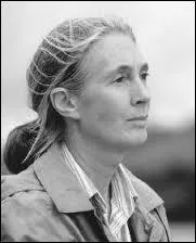 Jane Goodall est une primatologue, éthologue et anthropologue britannique, qui a consacré sa vie à l'étude des :