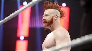 Qui Sheamus va-t-il affronter ?