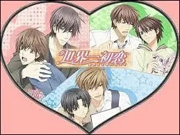 Est-ce un Yaoi ou un shonen-ai ?