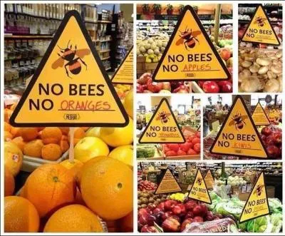 To be and not too bee... Mais la menace la plus sérieuse serait en cours : laquelle ?