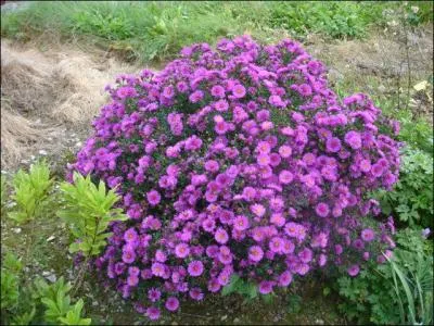 Installer quelqu'un sur un siège :