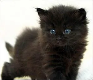 Familièrement, provoque l'agacement, la contrariété :