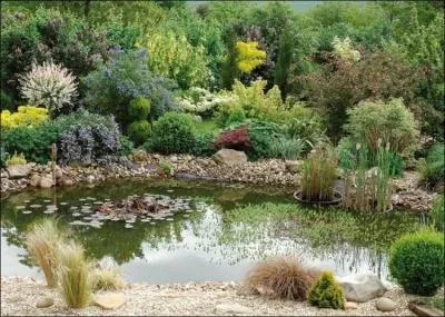 Si mes questions vous paraissent troubles et confuses, que dire de mon quiz ?