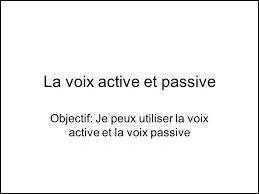 « Le voyageur est passé par la Bretagne. » est une phrase passive.