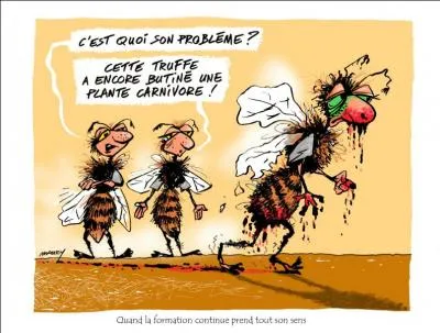 Blague -> Lequel de ces insectes peut-on obtenir en étirant un grand-père ?