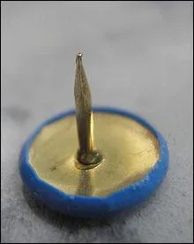 C'est une sorte de clou à tête large inventée par Edwin Moore en 1900. Trouvez l'insecte à l'aide de l'objet !