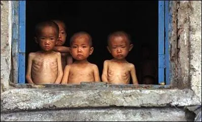 Durant quelle période la famine a-t-elle eu lieu en Corée du Nord ?