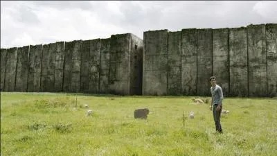 Remis de ses émotions, il découvre un lieu habité par une vingtaine d'adolescents, entouré par de gigantesques remparts, cachant un labyrinthe. Comment ce lieu s'appelle-t-il ?