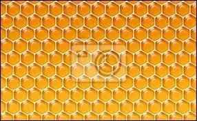 Le mot "alvéole" est-il masculin ou féminin ?