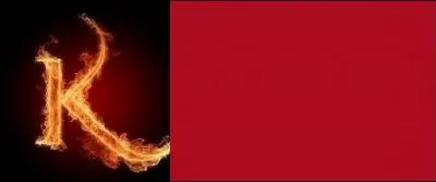 Quel est cet oiseau ?