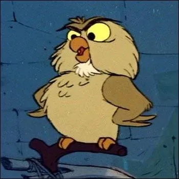 Quelle est la particularité de ce hibou ?