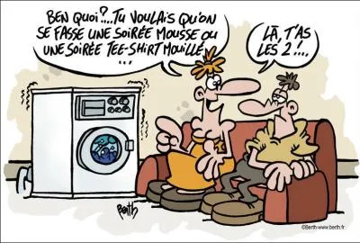 Quel chanteur nous invite à passer notre amour à la machine ?