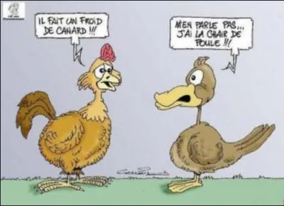 Quelle température faisait-il dans le film de Jean-Jacques Beneix, où les deux protagonistes vivent une histoire d'amour sensuelle et passionnée ?