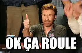 Quel homme a dit : A pierre qui roule, rien d'impossible !  ?