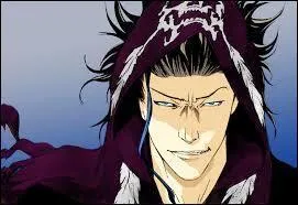 C'est le frère jumeau de Sora. C'est...