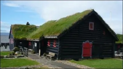 Dans quel pays peut-on voir ce genre de maisons, dont le toit est recouvert de v&eacute;g&eacute;tation ?