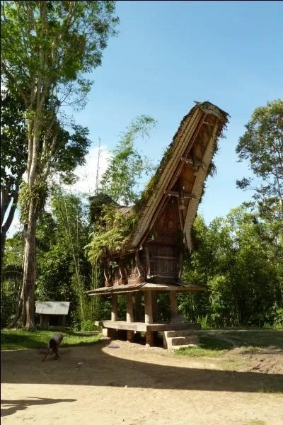 Dans quelle r&eacute;gion du monde peut-on d&eacute;couvrir ces maisons sur pilotis, &agrave; la toiture incurv&eacute;e ?