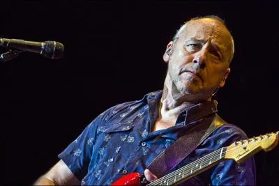 Mark Knopfler est un grand guitariste écossais. Quel groupe de rock a-t-il créé en 1977, avec son frère David ?