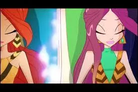 Qui est la personne qui accompagnera les Winx dans le passé ?