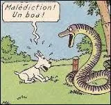 Dans quel album de "Tintin", un boa tente de dévorer Milou ?