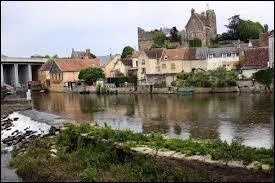 Nous partons à la découverte de Beaumont-sur-Sarthe. Ancienne cité médiévale des Pays-de-la-Loire, elle se situe dans le département ...